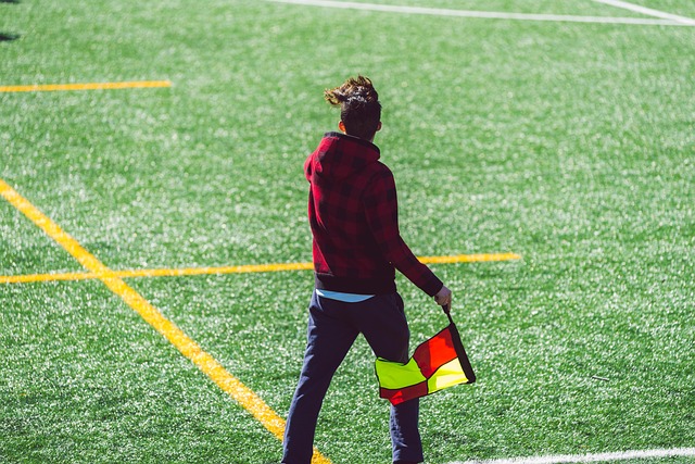 助庞大的观 助庞大的观