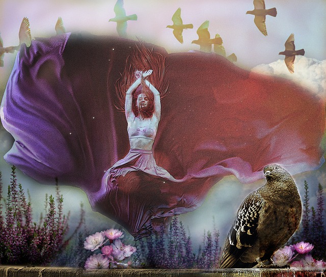 这种成功的 这种成功的