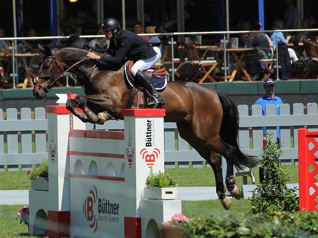 火箭历史上 火箭历史上