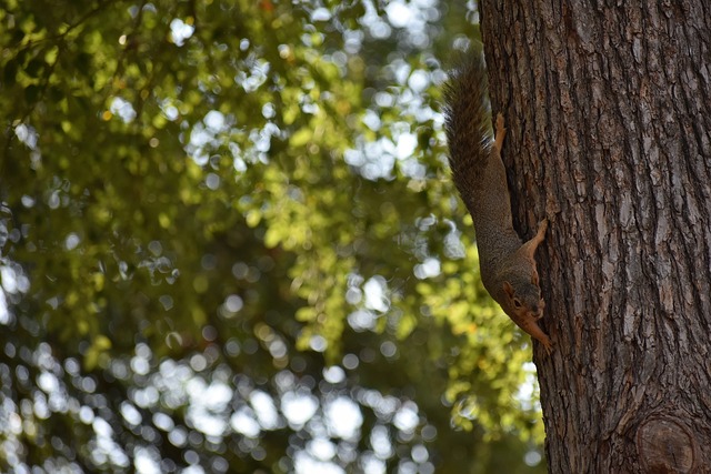 这不仅为未 这不仅为未