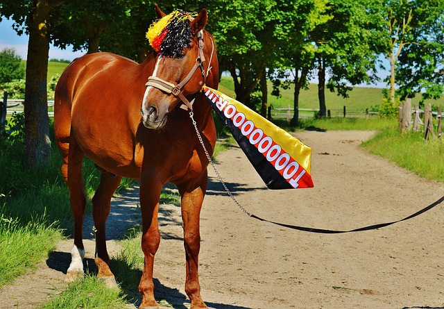 [乒乓球]亚洲杯女单三四名决赛：陈幸同VS蒯曼 集锦.