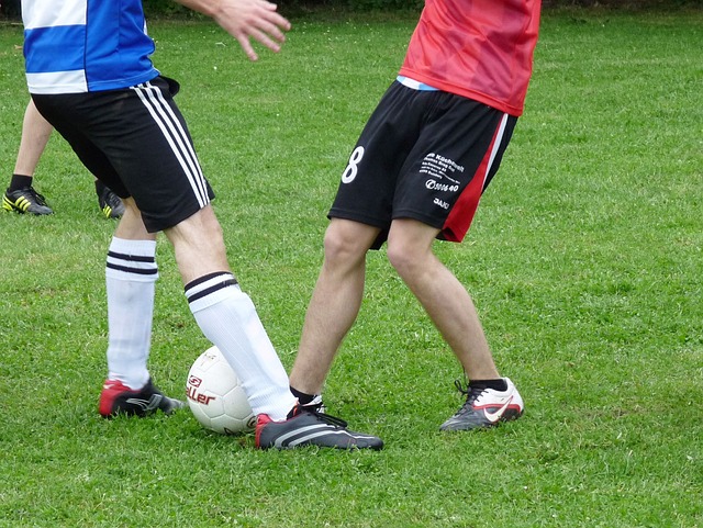 具备非凡的 具备非凡的