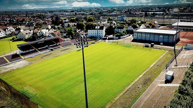 双项目强盛 双项目强盛