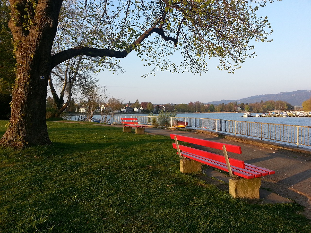 揭秘！学许昕直拍横打必知的练习细节.